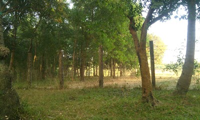 Photos of Pallanpara GPS
