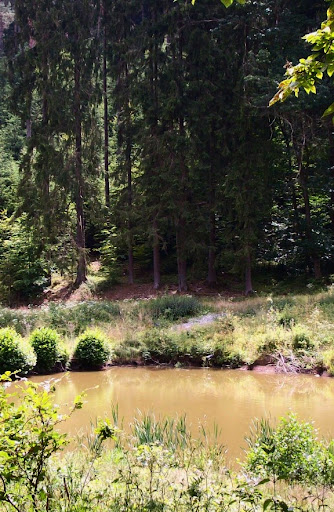 Fischbacher Teich - Thumbnail