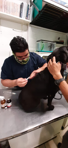 Pet's Home Clínica Veterinaria