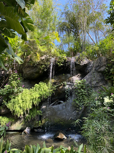 Wilderness Explorers - Visual