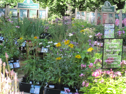 The Alnwick Garden Plant Centre and Nursery - Thumbnail