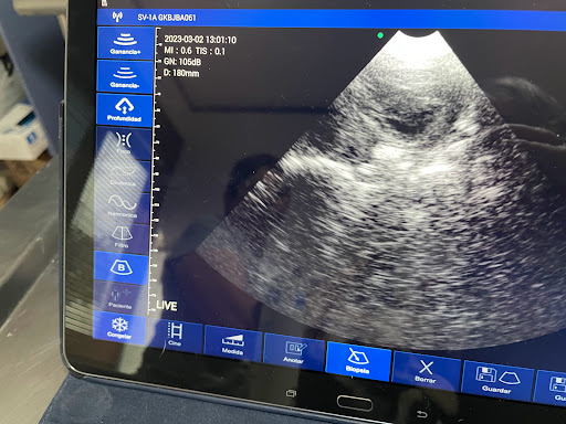 Clínica Veterinaria ""Dra. Cuevas""