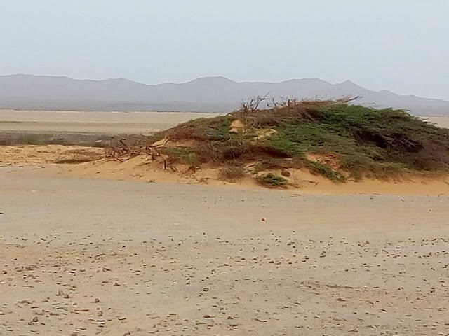 Desierto de La Guajira