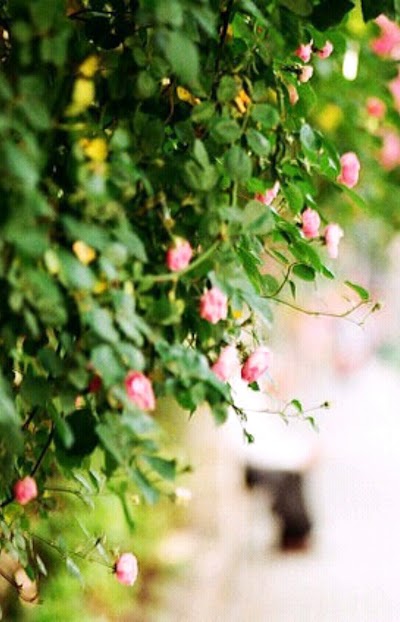 Photos of سوبر ماركت ريماس