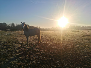 Photo n°13 de Centre Equestre Equileuk à Larée (Centre équestre)