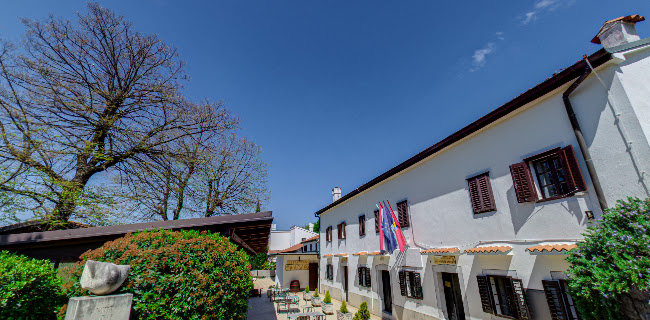 Ustanova Ivan Matetić Ronjgov - Kulturni centar