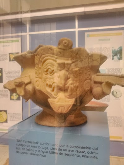 Photos of Museo Arqueologico Julio Cesar Cubillos