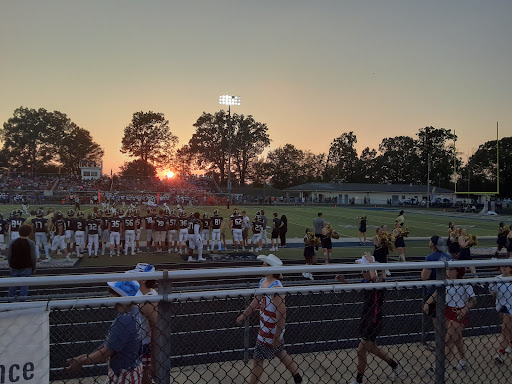 Arlington Stadium - Visual
