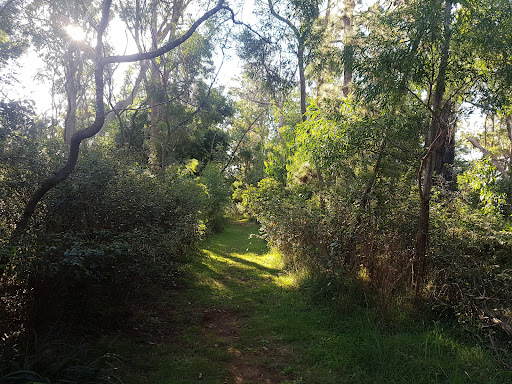Hartmann Bushland Reserve - Thumbnail
