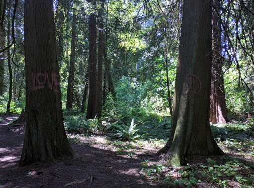H.B. Fuller Company Park - Thumbnail