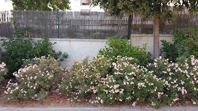 Photos of Residencia Universitaria Balcon Del Romeral