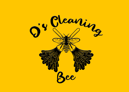 DS CLEANING ????, LLC