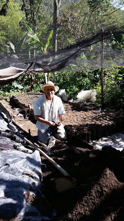 Photos of Finca Las Guamas