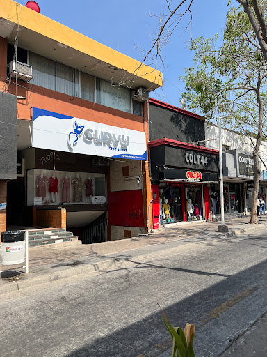 Curvy Chic Store - Visual