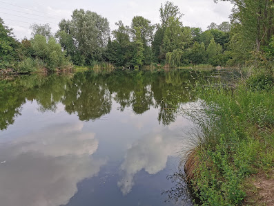 Angelsportverein Früh Luitpoldstraße 200B, 67063 Ludwigshafen am Rhein, Deutschland