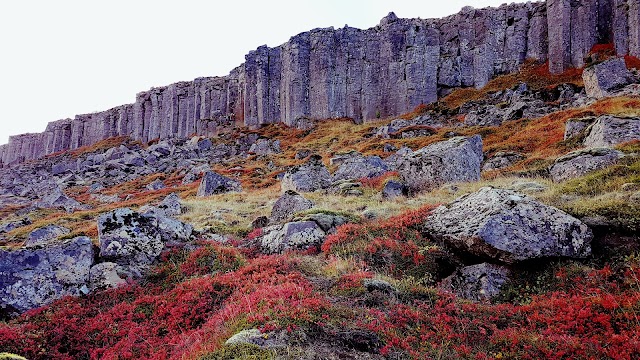 Gerðuberg Cliffs