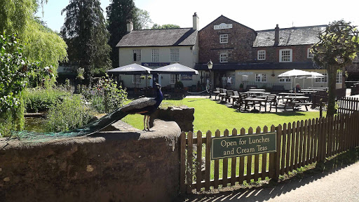 Bickleigh Mill - Thumbnail