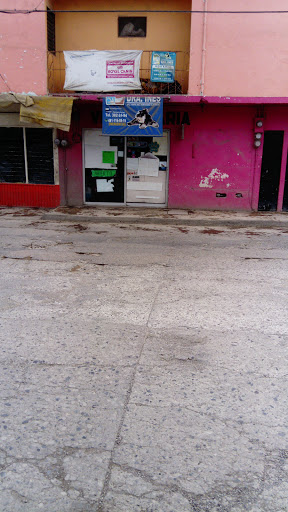 veterinaria Dra Inés