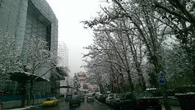 Photos of Niavaran Park