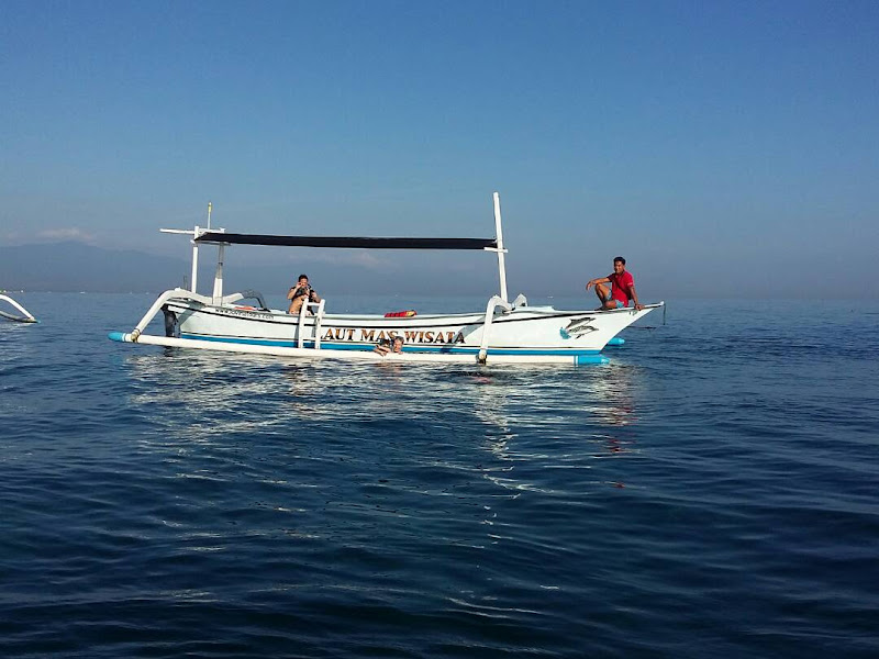 Dolphin Watching and Snorkeling Herman Lovina Tour