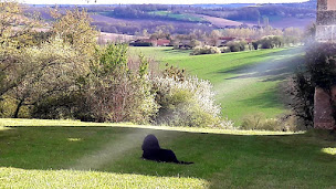 Photo n°11 de Le Coustal, Chambres d'hôtes à Lusignac à Lusignac (Chambre d'hôtes)
