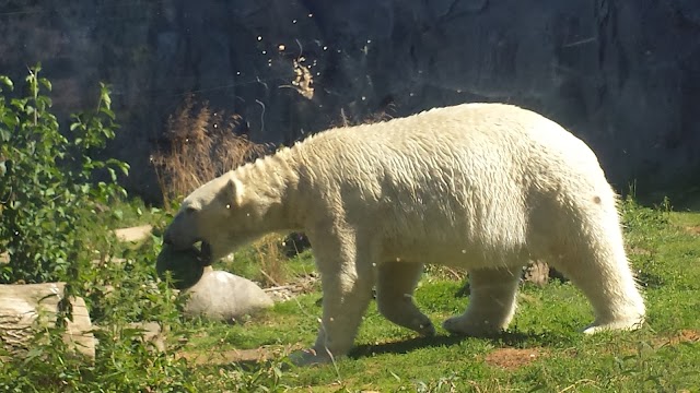 ZOOM Erlebniswelt