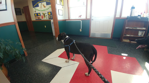 Cornerstone Animal Clinic PLLC - Thumbnail