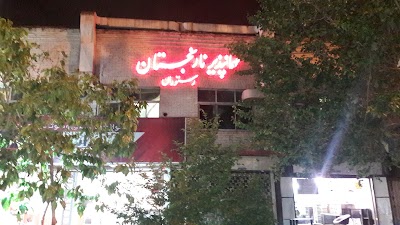 Photos of Naranjestan Hotel