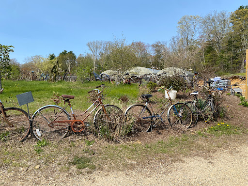 Lamoureux Greenhouses Gallery - United States