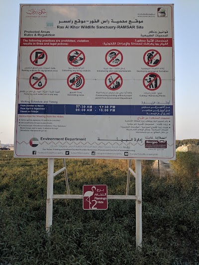 Photos of Ras Al Khor Flamingo Hide Viewing Area