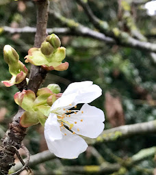 Photo n°29 de Clos Bamboo B&B ( comme à l’hôtel ) à Mérignac (Lodge)