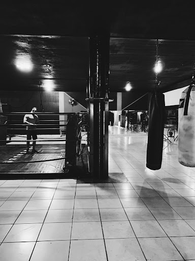 Boxeo González - Thumbnail