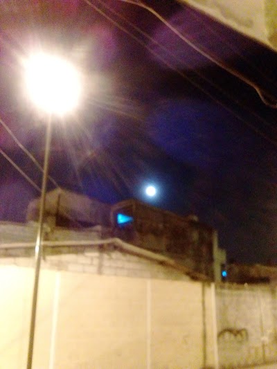 Photos of Parque Libre Actividad