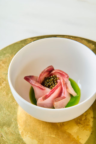 Playing Solo by null