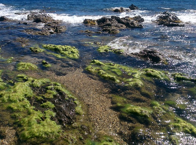 Plage de Gigaro