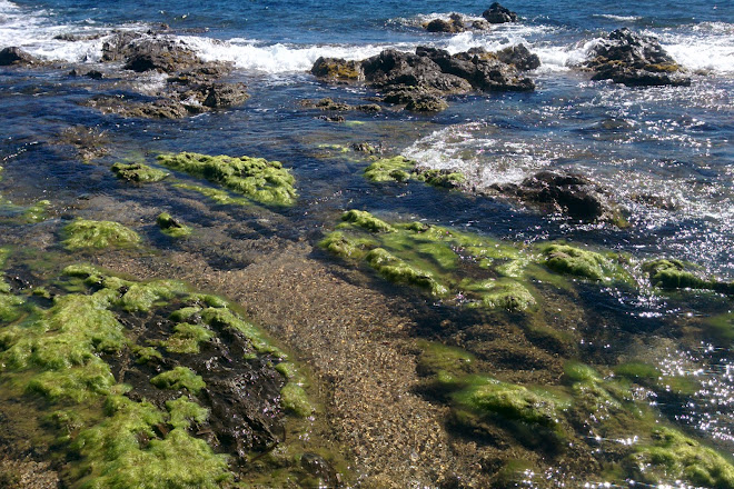 Visit Plage De Gigaro On Your Trip To La Croix Valmer Or France