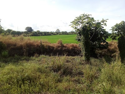 Photos of Parque El Mohan