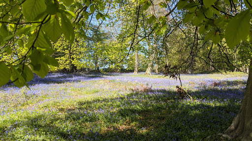 Medmenham Camp Iron Age Hill Fort - Thumbnail