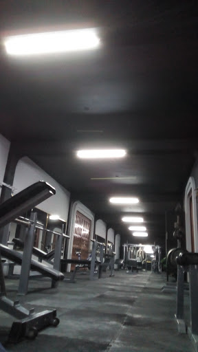 TAN'S GYM - Visual