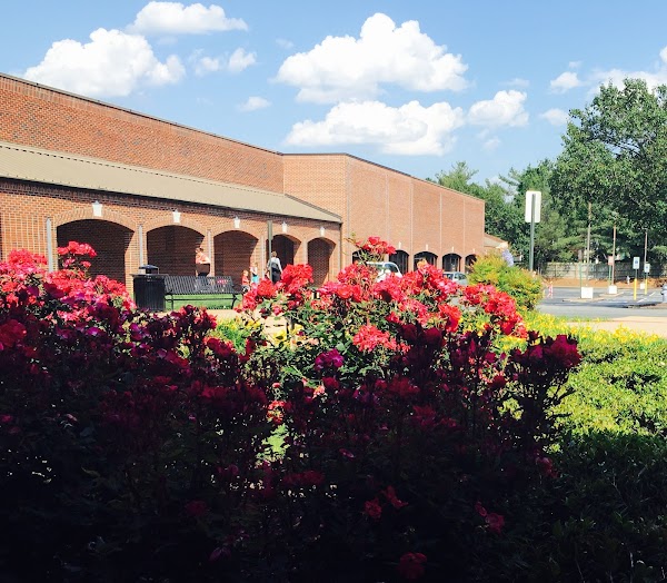 Quioccasin Station Shopping Center photo 1