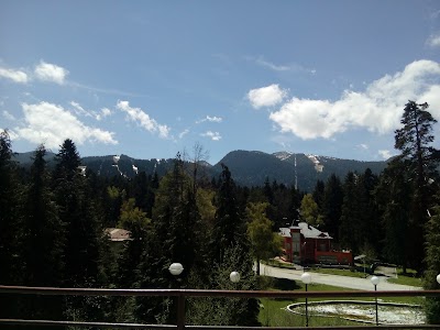Photos of Hotel Bor (Sokolets Borovets Ad)