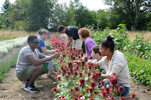Photo n°3 de Le Jardin Roy à Haution (Transformation des fruits et légumes)