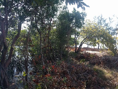 Photos of Long Set Beach