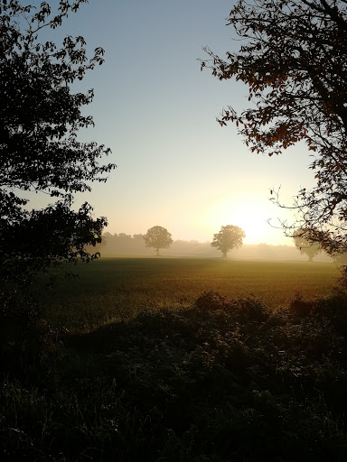 Les Grands Coudrais Gites