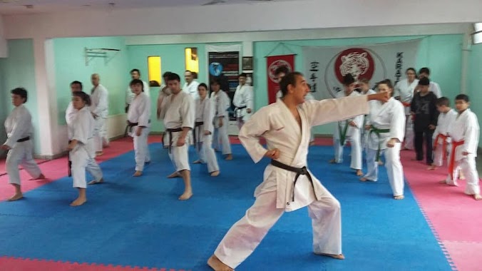 SHOTOKAN ITUZAINGO, Author: Eric Widder