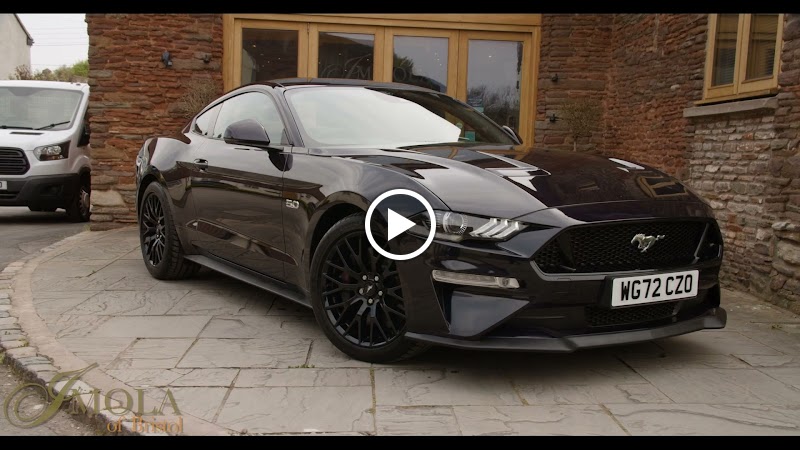 Imola of Bristol photo 3