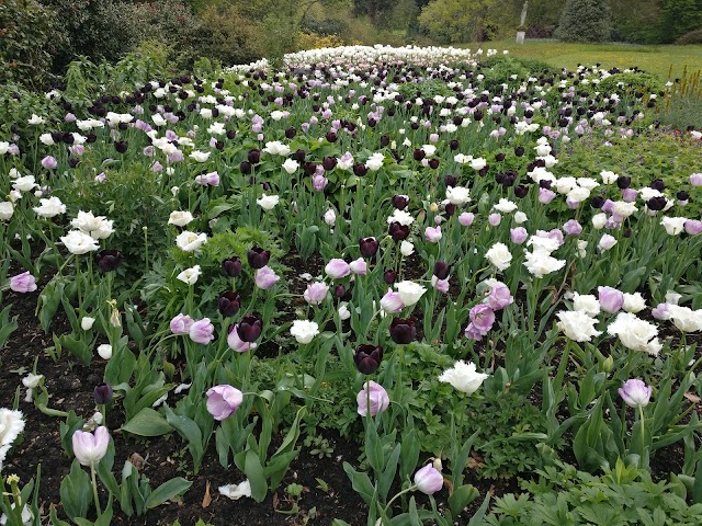 Forde Abbey and Gardens