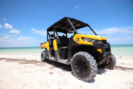 Holbox Taxi & Tours