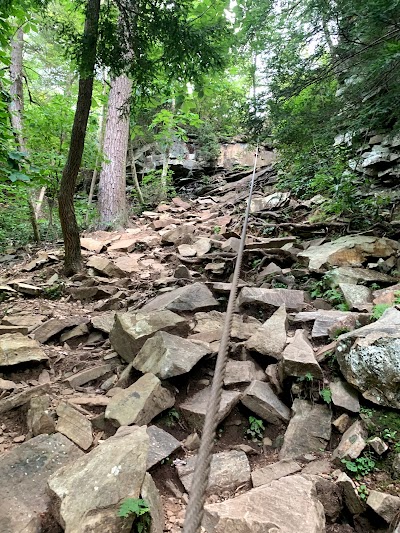 Cane Creek Falls