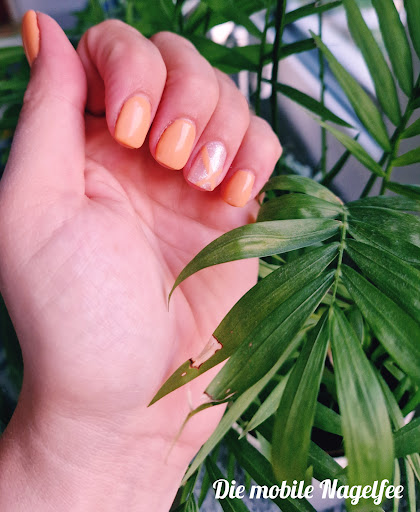 Die kleine Nagelfee - Thumbnail